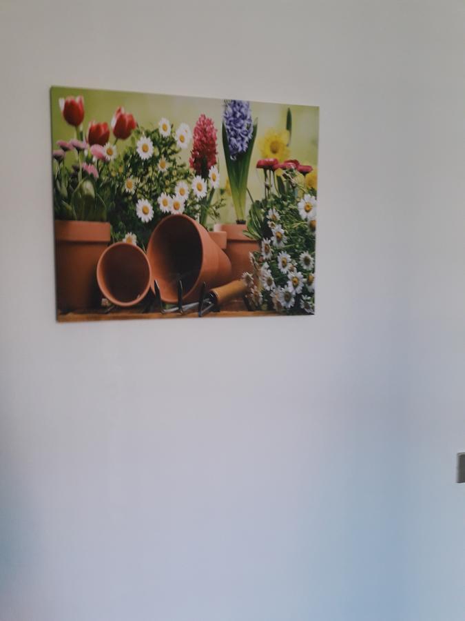 La Casa Nel Verde 2 Bologna Ngoại thất bức ảnh